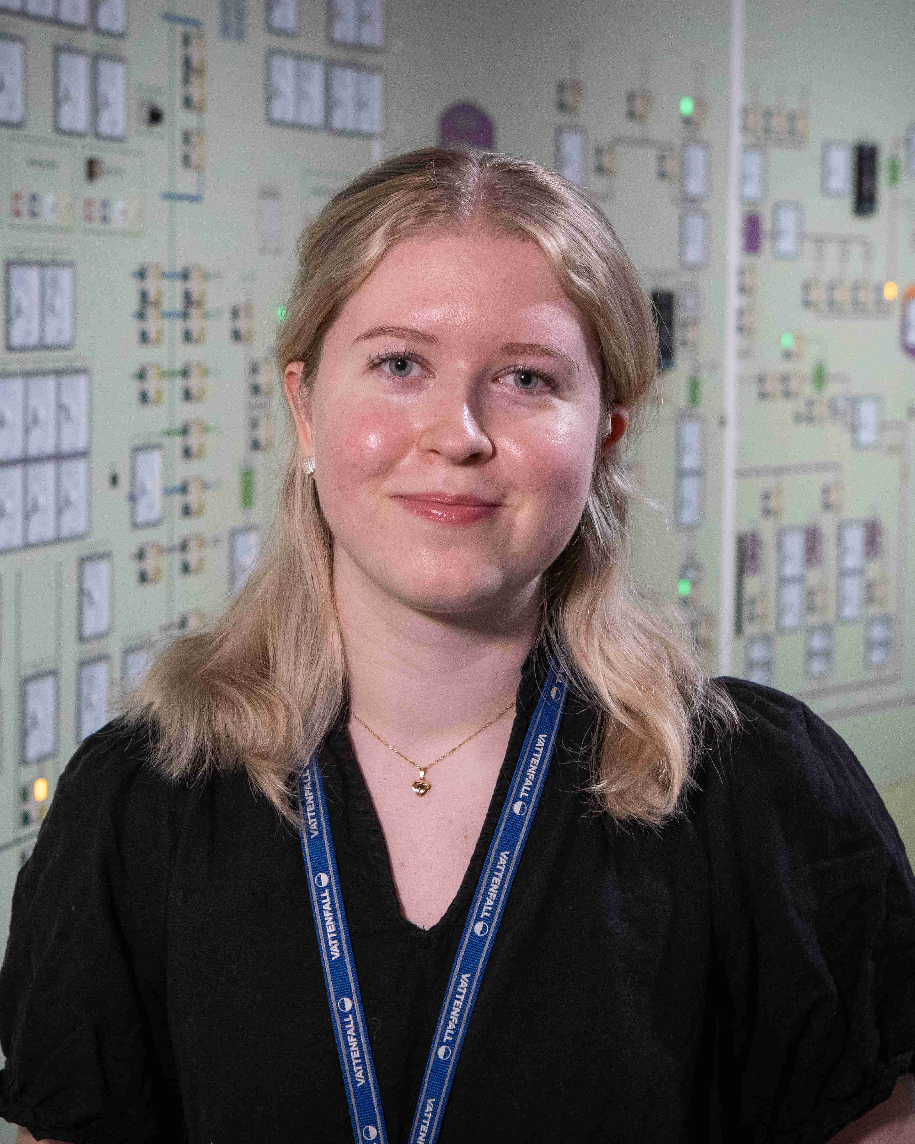 Stina Vallhagen, Programdeltagare och elektriker