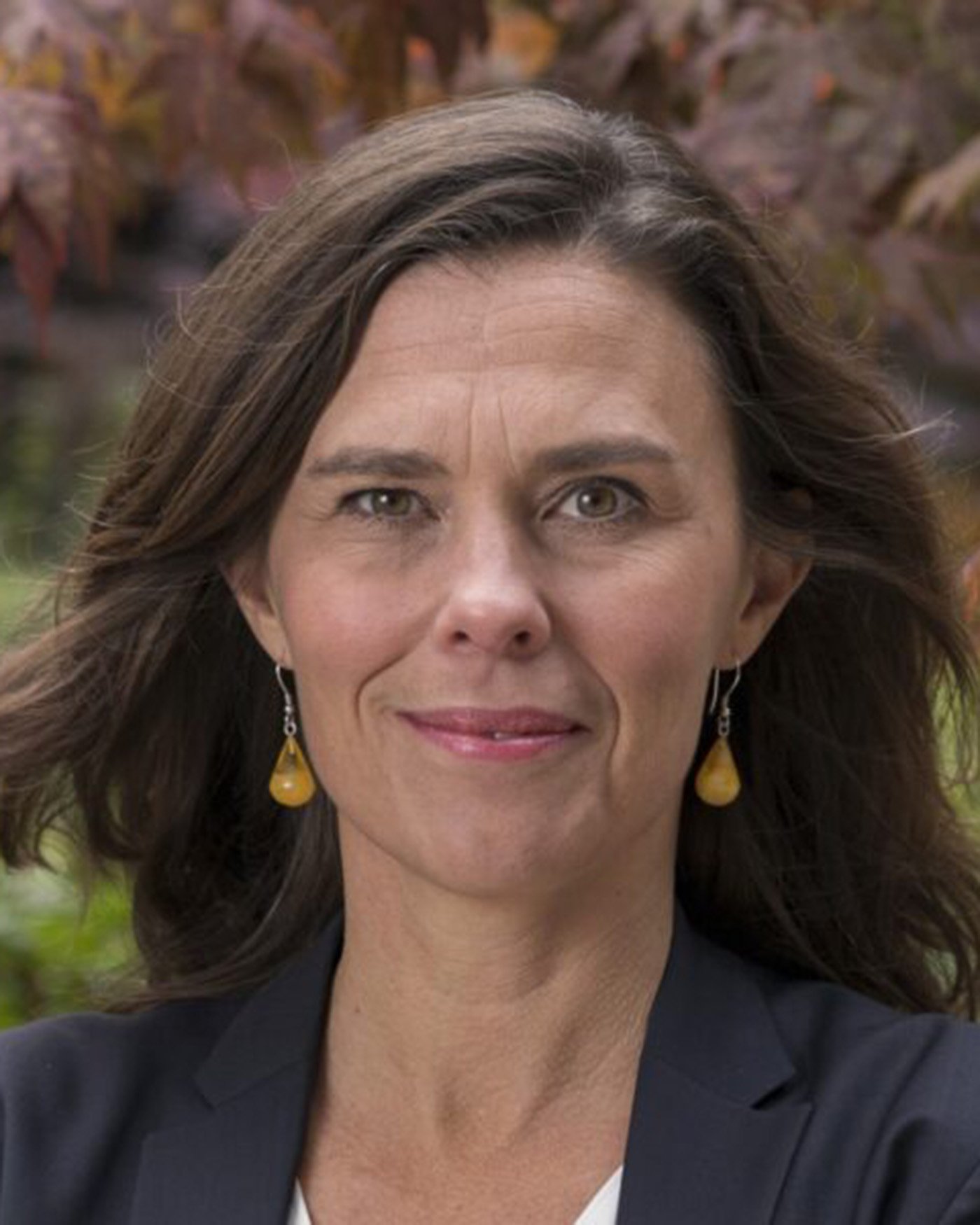 &Aring;sa Persson, ordf&ouml;rande i Klimatpolitiska r&aring;det.