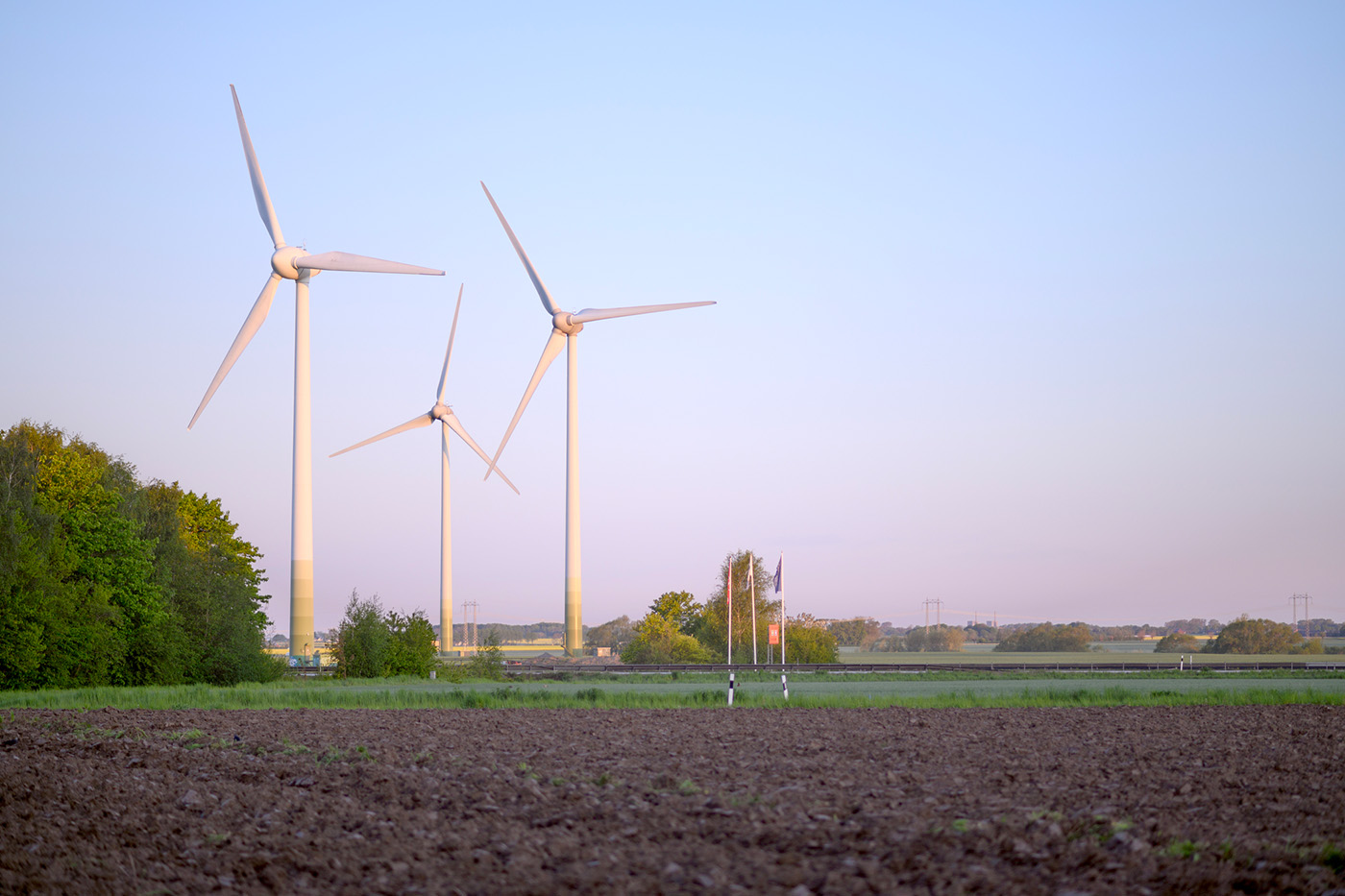 Foto: Istock.