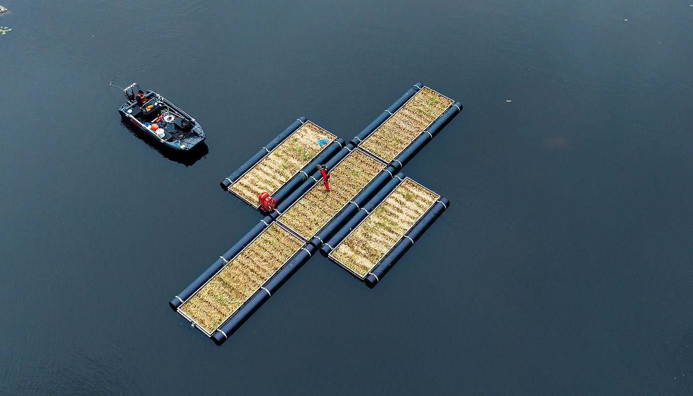 Vattenfalls konstgjorda öar med växter som är typiska för strand- och vattenmiljön i området. Foto: Vattenfall.
