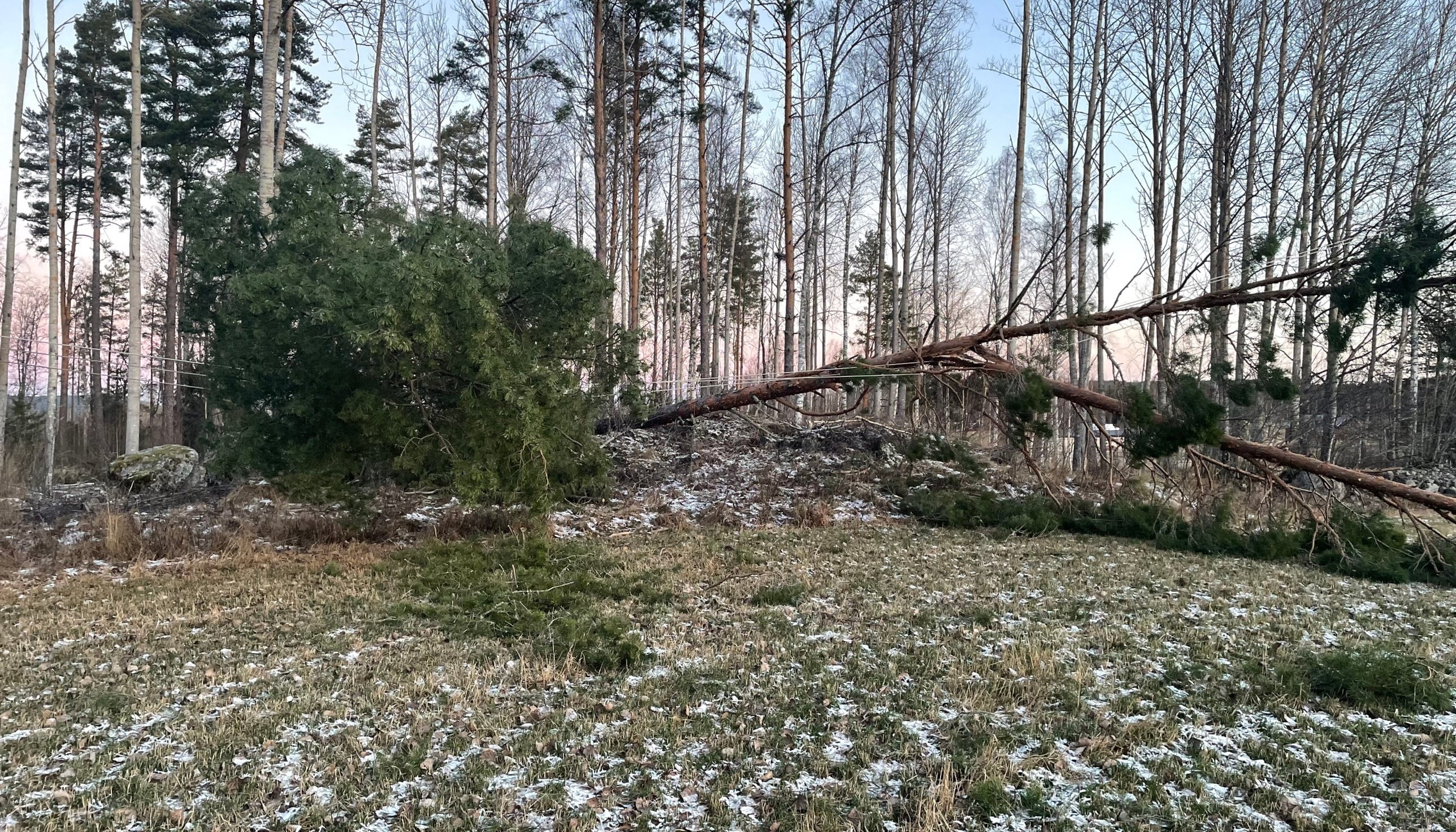 Efterbörden av stormen Johannes. Foto: Falu Energi och Vatten.
