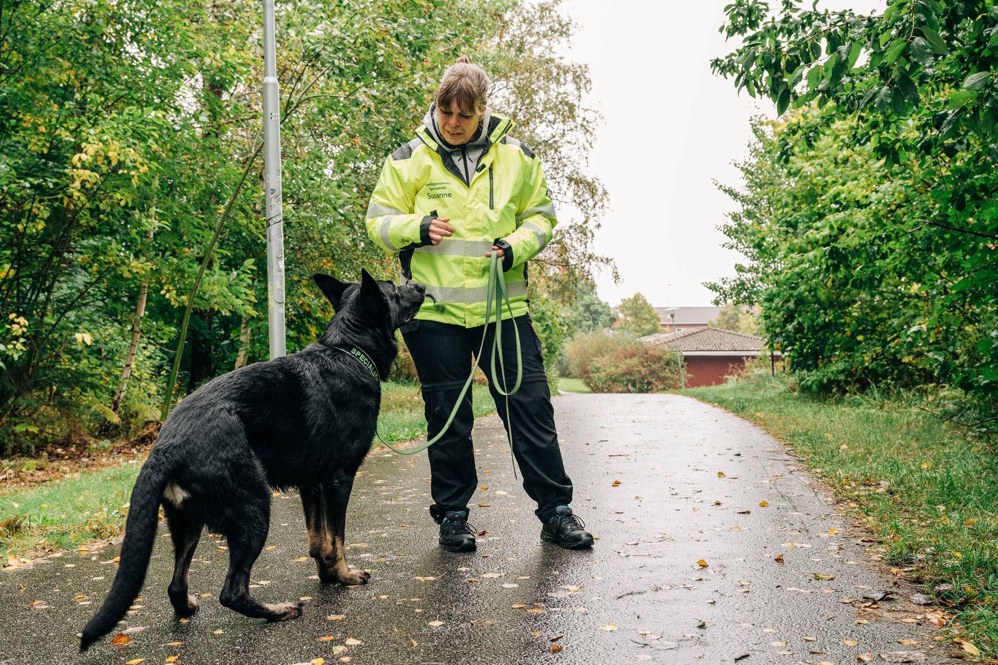 Fint samspel mellan förare och hund är en förutsättning.