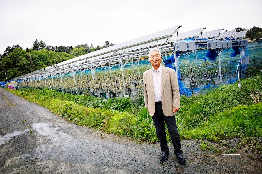 Lantbrukaren Hiroshi Miura förlorade mycket av sitt lantbruk efter tsuanmin 2011. Nu har han startat om och kombinerar solel med blåbärsodlingar. Foto: Joakim Rådström.
