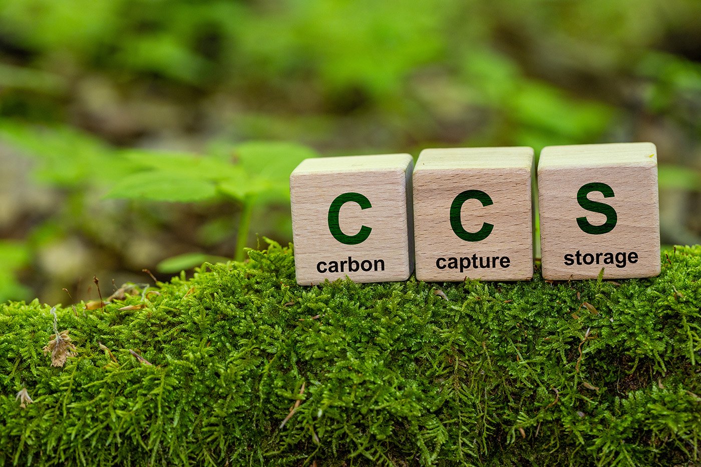 Nu finns ytterligare 10 miljarder f&ouml;r bio-CCS. Foto: Shutterstock.