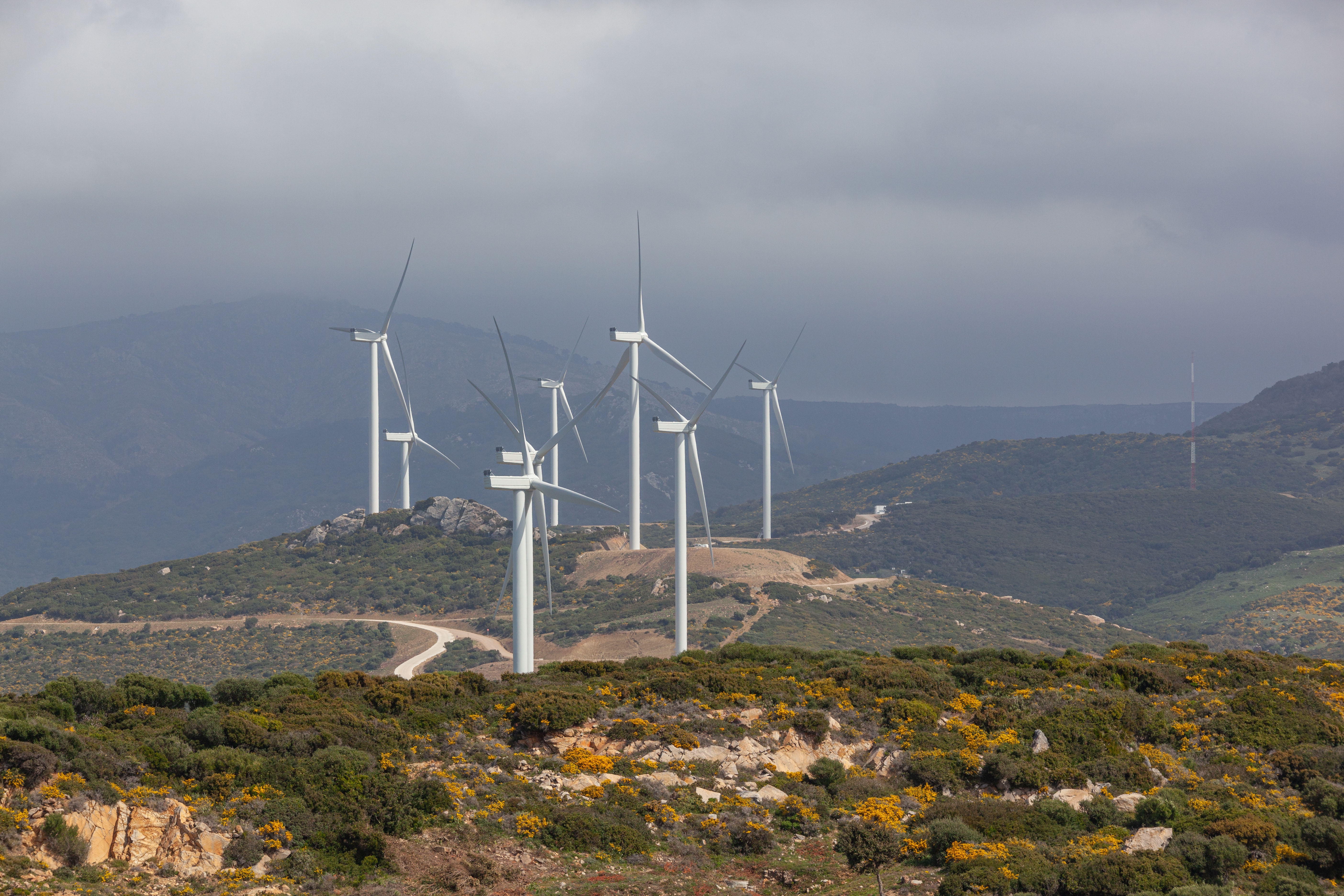 Vindkraften står för en fjärdedel av Spaniens elproduktion. Nu får landets producenter av förnybar el begränsningar i hur stora vinster de får ta ut på grund av att gaspriserna tryckt upp elpriserna. Foto: Shutterstock