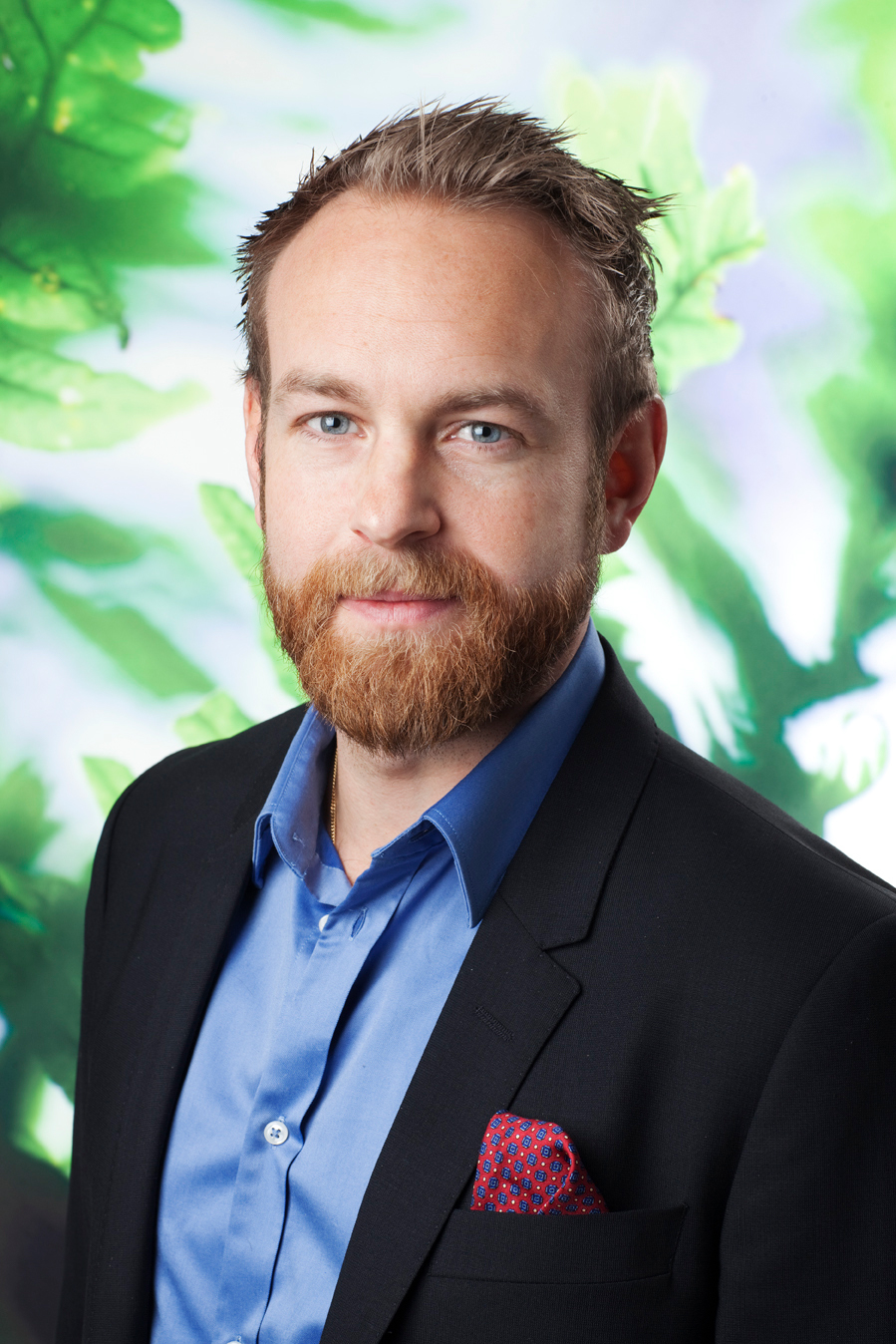 Daniel Friberg, projektledare på Energimyndigheten..