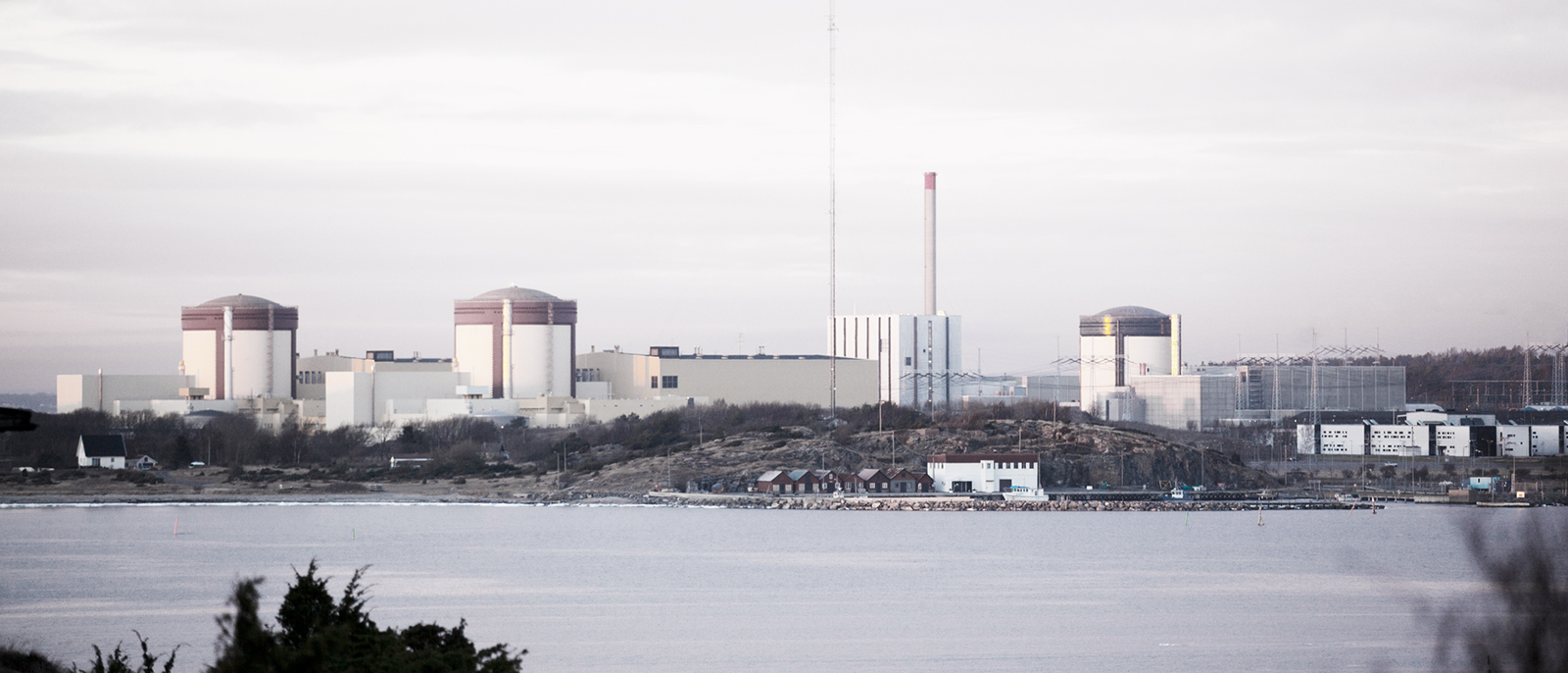 Energibolagen som ser möjligheter för ny kärnkraft